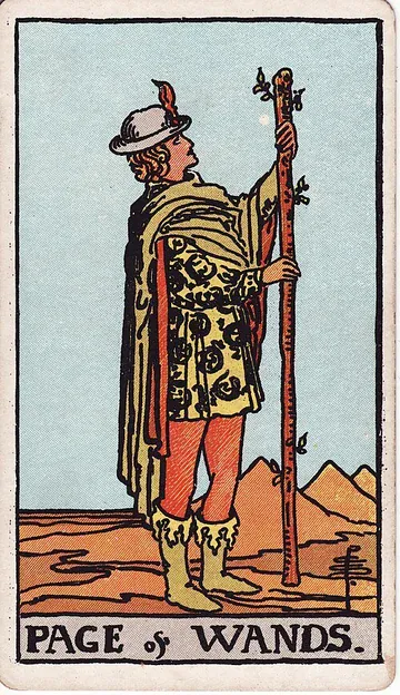 Valete de Paus · O Horizonte